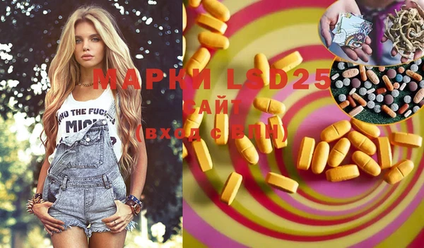 гашик Нефтекумск