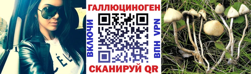 Псилоцибиновые грибы Magic Shrooms  Купить закладки  Брюховецкая 